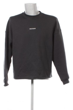 Ανδρική μπλούζα WRSTBHVR, Μέγεθος L, Χρώμα Γκρί, Τιμή 43,64 €