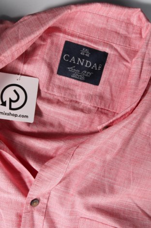 Pánská košile  Canda, Velikost XXL, Barva Růžová, Cena  462,00 Kč