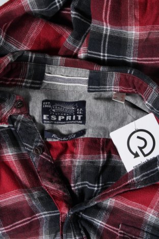Pánska košeľa  Esprit, Veľkosť L, Farba Viacfarebná, Cena  4,63 €