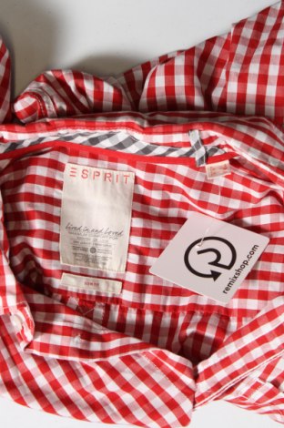 Pánska košeľa  Esprit, Veľkosť S, Farba Červená, Cena  13,61 €