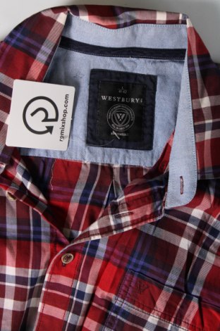 Ανδρικό πουκάμισο Westbury, Μέγεθος L, Χρώμα Πολύχρωμο, Τιμή 12,23 €