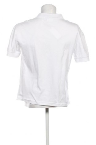 Herren T-Shirt Calvin Klein, Größe M, Farbe Weiß, Preis € 69,59