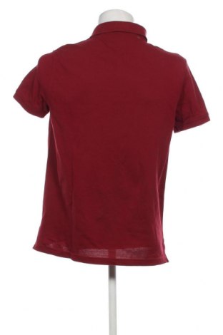 Herren T-Shirt Tommy Hilfiger, Größe M, Farbe Rot, Preis 91,16 €