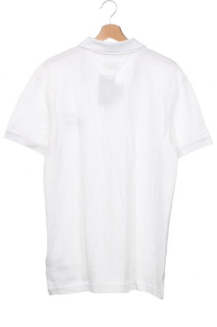 Ανδρικό t-shirt Tommy Hilfiger, Μέγεθος L, Χρώμα Λευκό, Τιμή 81,03 €