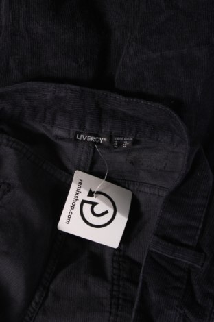 Ανδρικό κοτλέ παντελόνι Livergy, Μέγεθος XL, Χρώμα Μπλέ, Τιμή 5,56 €