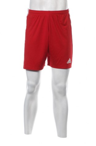 Ανδρικό κοντό παντελόνι Adidas, Μέγεθος L, Χρώμα Κόκκινο, Τιμή 12,62 €