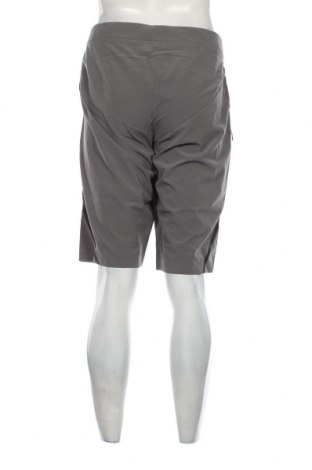 Ανδρικό κοντό παντελόνι Dakine, Μέγεθος XL, Χρώμα Γκρί, Τιμή 16,62 €