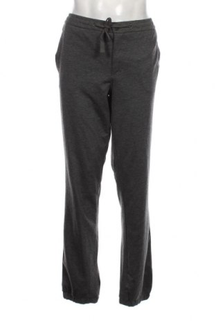 Pantaloni de bărbați, Mărime XL, Culoare Gri, Preț 36,25 Lei