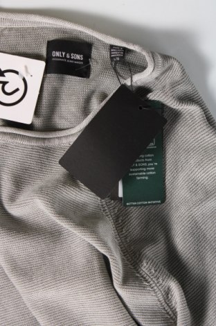 Ανδρικό πουλόβερ Only & Sons, Μέγεθος L, Χρώμα Γκρί, Τιμή 6,64 €