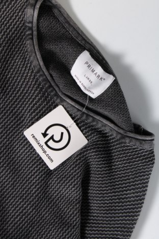 Ανδρικό πουλόβερ Primark, Μέγεθος L, Χρώμα Γκρί, Τιμή 4,62 €