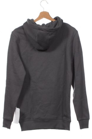 Herren Sweatshirt Alessandro Zavetti, Größe XS, Farbe Grau, Preis 44,85 €
