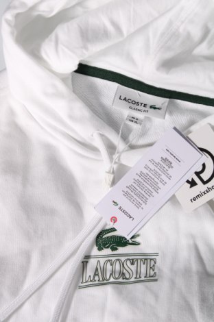 Herren Sweatshirt Lacoste, Größe XL, Farbe Weiß, Preis 77,32 €