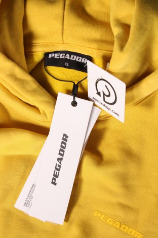 Ανδρικό φούτερ Pegador, Μέγεθος XS, Χρώμα Κίτρινο, Τιμή 15,70 €
