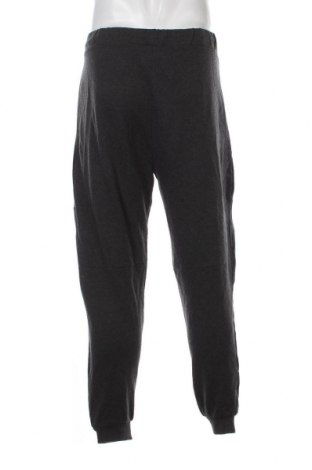 Ανδρικό αθλητικό παντελόνι, Μέγεθος L, Χρώμα Γκρί, Τιμή 14,89 €