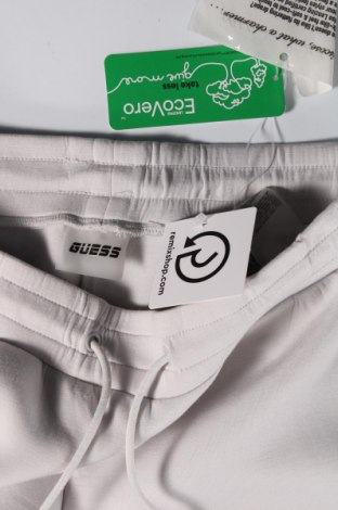 Ανδρικό αθλητικό παντελόνι Guess, Μέγεθος L, Χρώμα Γκρί, Τιμή 61,50 €