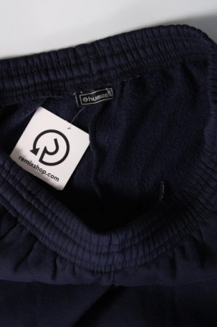 Ανδρικό αθλητικό παντελόνι Hummel, Μέγεθος M, Χρώμα Μπλέ, Τιμή 17,04 €