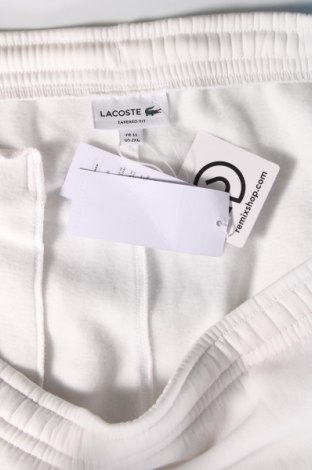 Męskie spodnie sportowe Lacoste, Rozmiar 3XL, Kolor Biały, Cena 290,53 zł