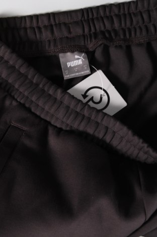 Ανδρικό αθλητικό παντελόνι PUMA, Μέγεθος M, Χρώμα Γκρί, Τιμή 31,40 €