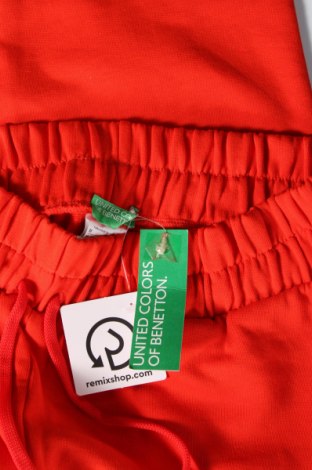 Herren Sporthose United Colors Of Benetton, Größe M, Farbe Rot, Preis € 23,92