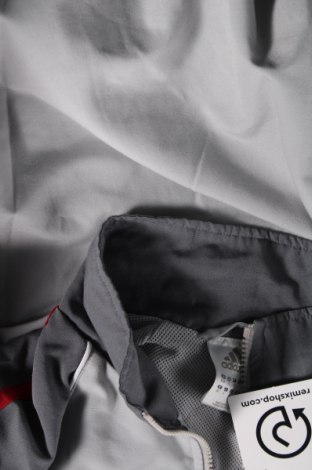 Ανδρική αθλητική ζακέτα Adidas, Μέγεθος S, Χρώμα Γκρί, Τιμή 33,40 €