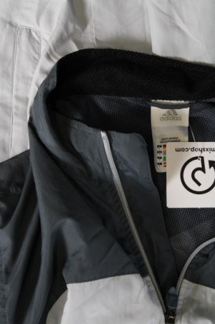 Ανδρικό μπουφάν Adidas, Μέγεθος L, Χρώμα Πολύχρωμο, Τιμή 4,75 €