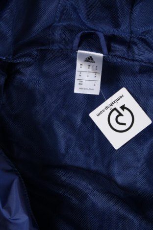 Ανδρικό μπουφάν Adidas, Μέγεθος M, Χρώμα Μπλέ, Τιμή 28,45 €