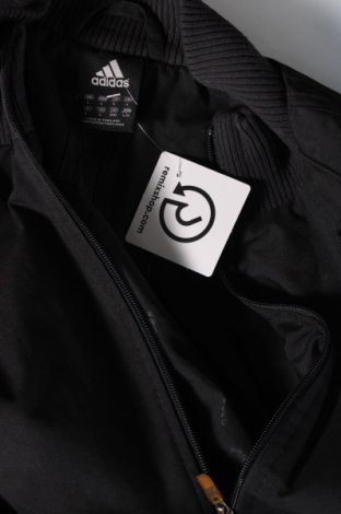 Ανδρικό μπουφάν Adidas, Μέγεθος L, Χρώμα Μαύρο, Τιμή 18,19 €
