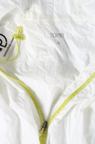 Ανδρικό μπουφάν Esprit, Μέγεθος XL, Χρώμα Λευκό, Τιμή 27,28 €