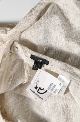 Φούστα H&M, Μέγεθος XL, Χρώμα Πολύχρωμο, Τιμή 28,45 €