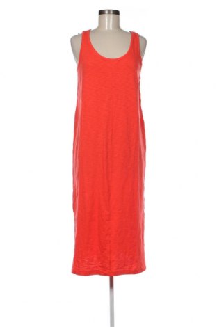 Φόρεμα Gap, Μέγεθος M, Χρώμα Πορτοκαλί, Τιμή 16,91 €