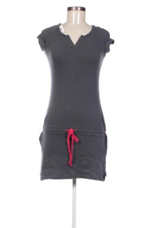 Kleid Hannah, Größe XL, Farbe Grau, Preis 7,06 €