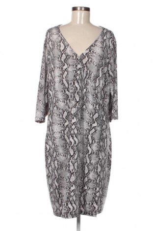 Φόρεμα Janina, Μέγεθος XXL, Χρώμα Πολύχρωμο, Τιμή 16,33 €