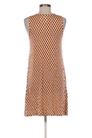 Φόρεμα Lascana, Μέγεθος M, Χρώμα Πολύχρωμο, Τιμή 17,94 €