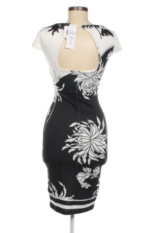 Kleid Lipsy London, Größe S, Farbe Mehrfarbig, Preis € 47,94