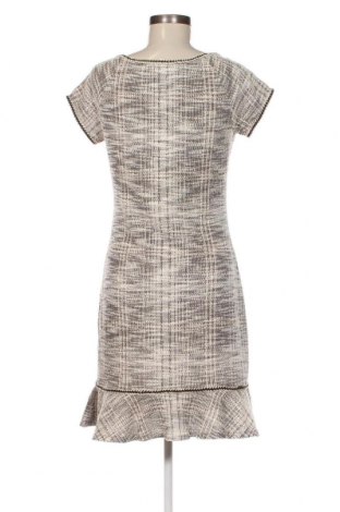 Φόρεμα Max Studio, Μέγεθος M, Χρώμα Πολύχρωμο, Τιμή 18,77 €