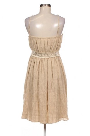Kleid Sinequanone, Größe M, Farbe Braun, Preis 27,06 €