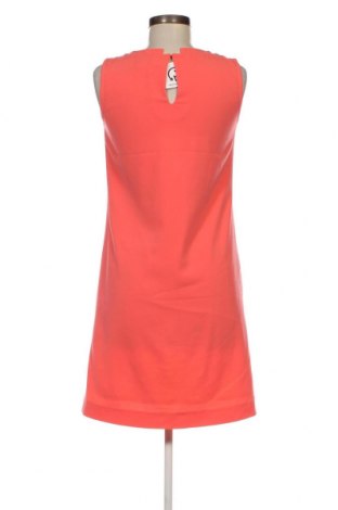 Φόρεμα Xandres, Μέγεθος S, Χρώμα Ρόζ , Τιμή 21,29 €