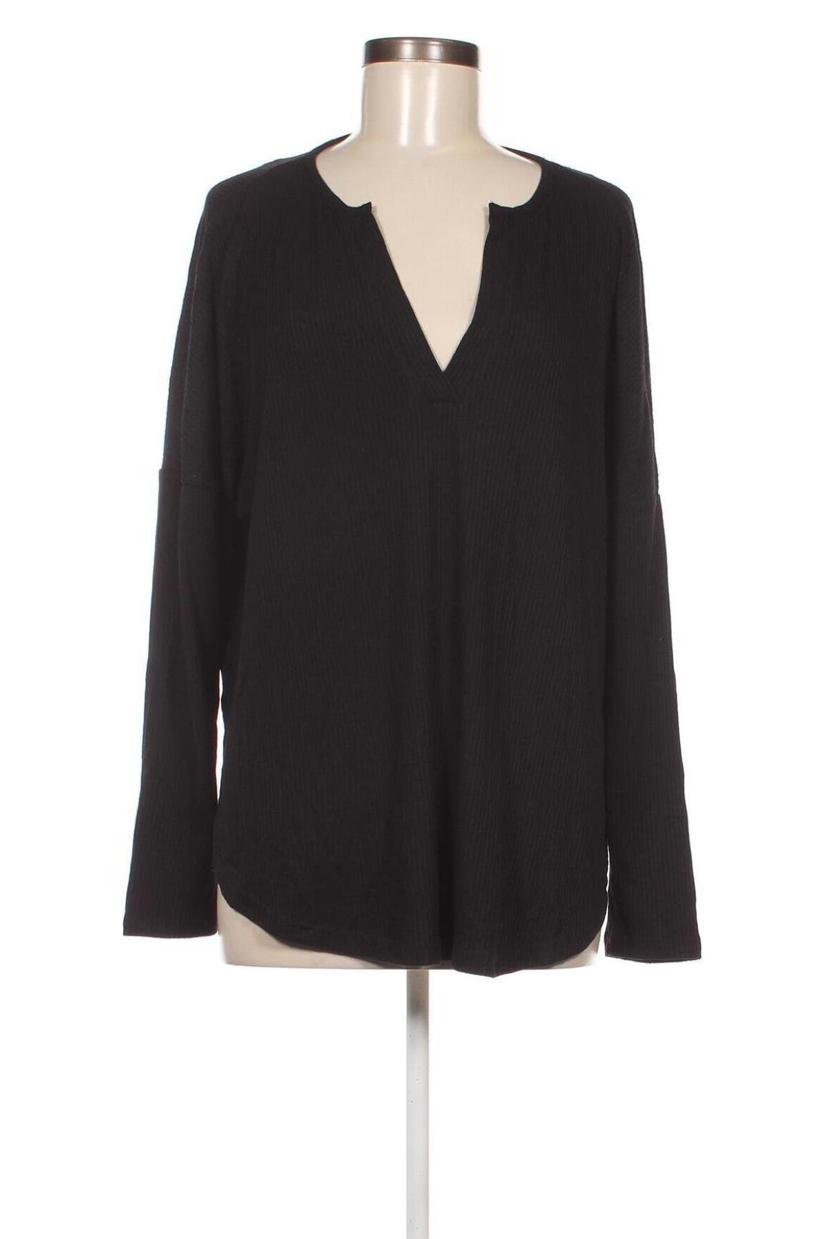 Damen Shirt Atmos & Here, Größe XL, Farbe Schwarz, Preis € 7,52