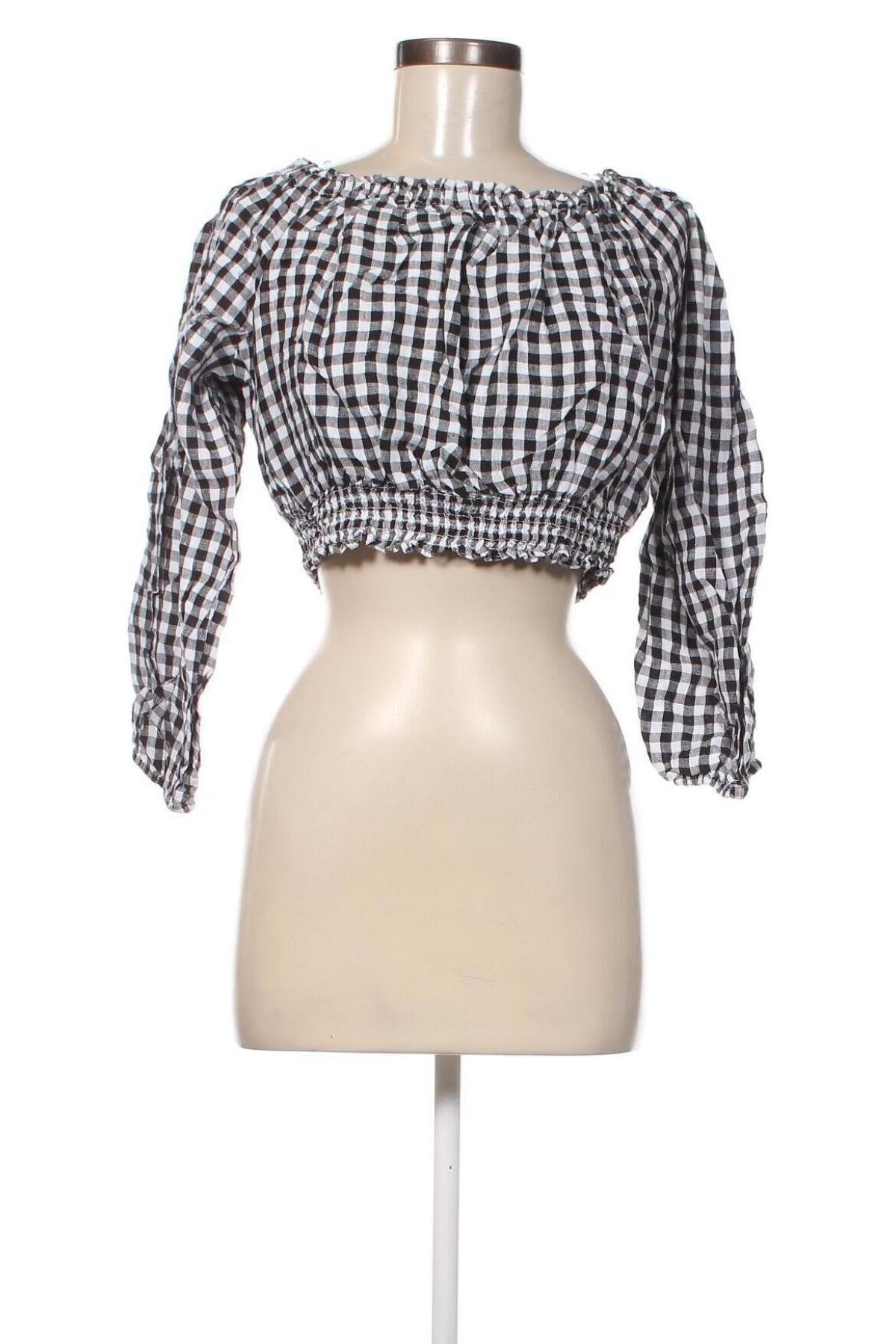 Γυναικεία μπλούζα Sportsgirl, Μέγεθος XL, Χρώμα Πολύχρωμο, Τιμή 14,85 €