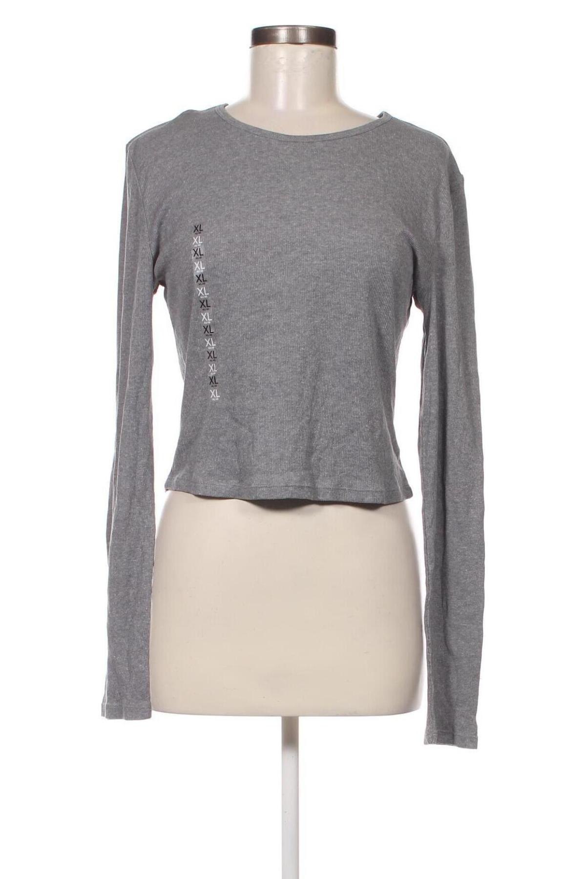 Damen Shirt Undiz, Größe XL, Farbe Grau, Preis € 4,45