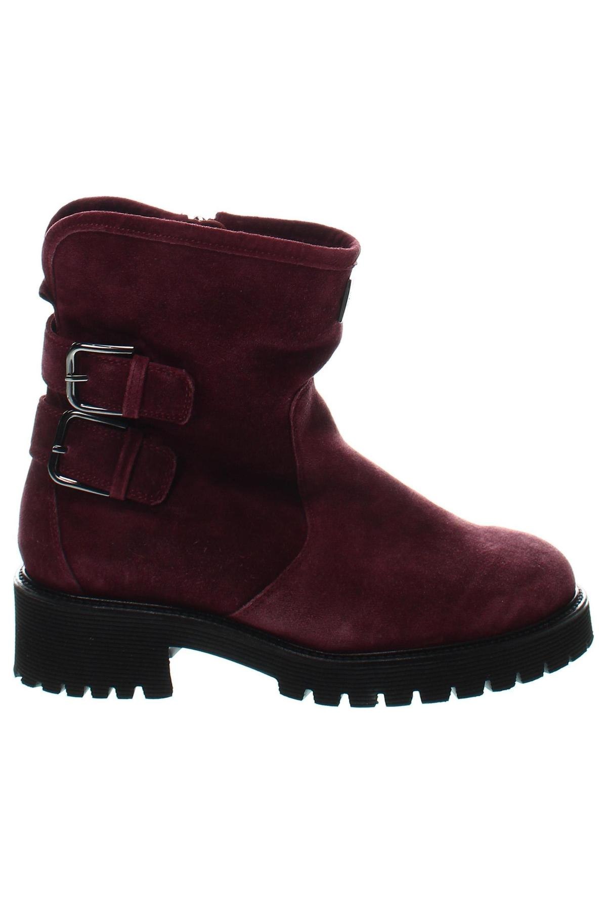 Damen Stiefeletten Hogl, Größe 36, Farbe Lila, Preis € 26,44