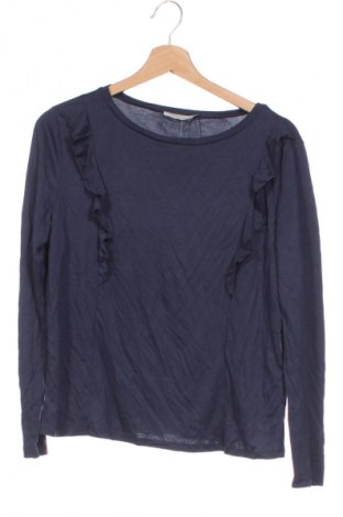 Damen Shirt Betty & Co, Größe XS, Farbe Blau, Preis € 33,99