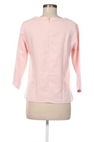 Damen Shirt Cavallaro Napoli, Größe M, Farbe Mehrfarbig, Preis € 33,99