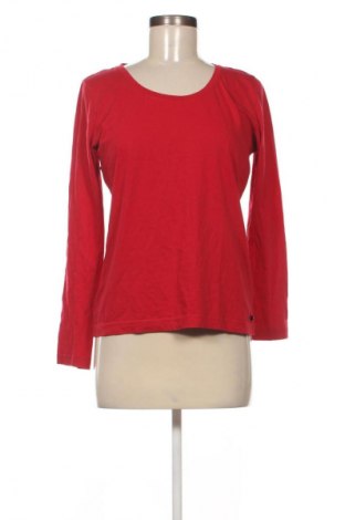 Damen Shirt Cecil, Größe M, Farbe Rot, Preis € 23,99