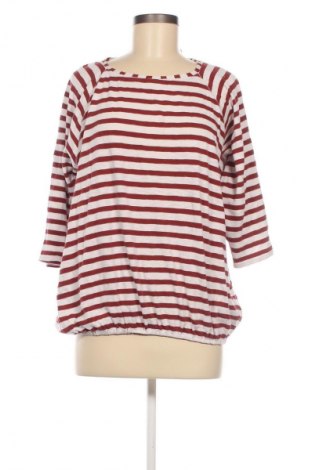 Damen Shirt Cecil, Größe L, Farbe Mehrfarbig, Preis 23,99 €