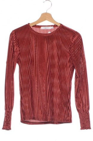 Damen Shirt Costes, Größe XS, Farbe Rot, Preis 23,99 €