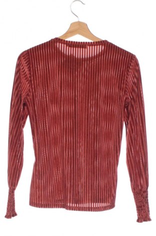 Damen Shirt Costes, Größe XS, Farbe Rot, Preis 23,99 €