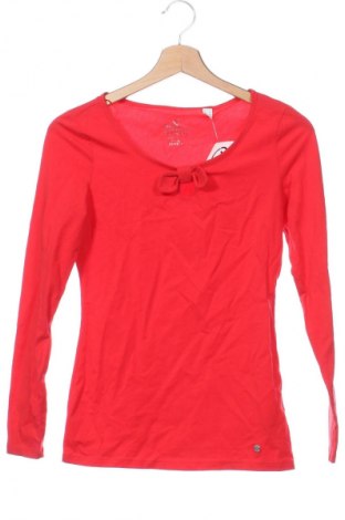 Damen Shirt Esprit, Größe XS, Farbe Rot, Preis € 9,99