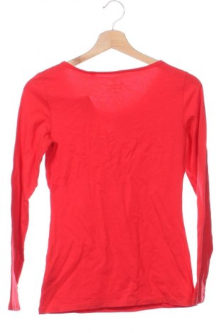 Damen Shirt Esprit, Größe XS, Farbe Rot, Preis € 9,99
