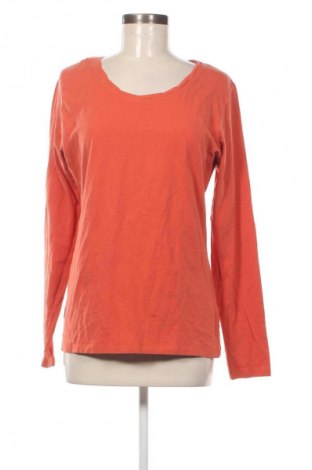 Damen Shirt Gina Benotti, Größe L, Farbe Braun, Preis 7,99 €